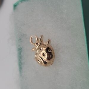 Ladybug nature‎ charm